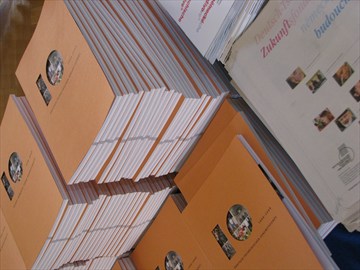 Gründung des Zukunftsfonds und seine Finanzierung